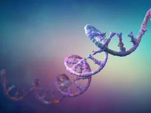 RNA
