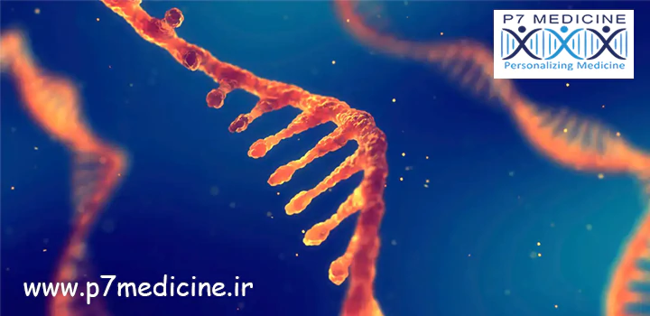 نقش-RNA-های-انتقالی-در-رشد-سرطان-سینه