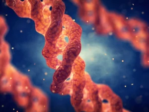 ژن-درمانی-موضعی-برای-اپیدرمولیز-بولوزا