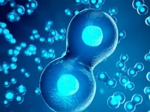 کشف-مکانیسم-سلولی-جدید